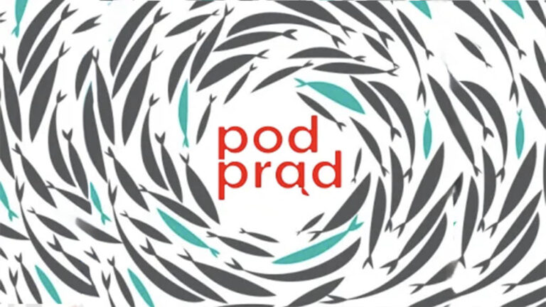 Zimowisko Chorągwi Zachodniej ZHA 2026